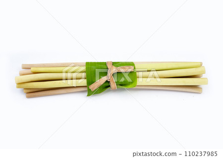 Lotus stems on white background. Lotus stems on white background. 110237985