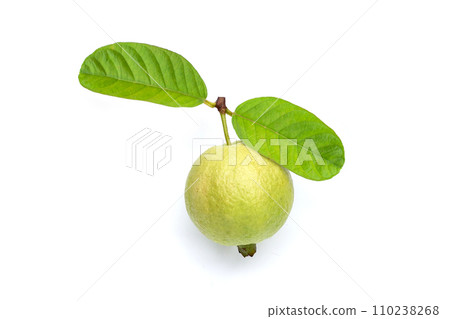 Fresh pink guava on white background. Fresh pink guava on white background. 110238268