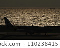 背光水面和飛機 110238415