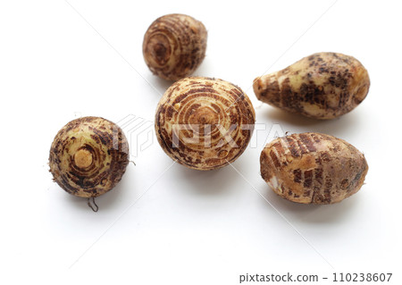 Satoimo, taro roots or japanese sweet taro 110238607