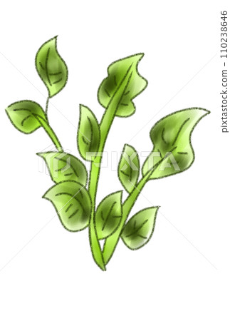 Seven herbs of spring 110238646