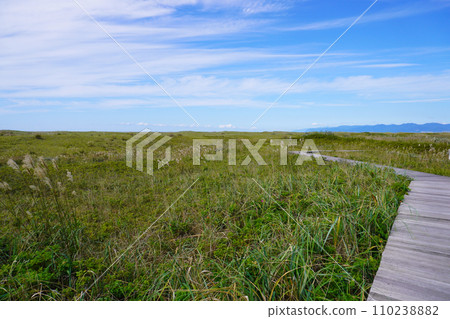 濱名丘公園（北海道石狩市） 110238882