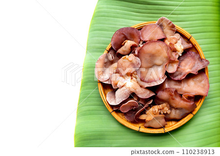 Black fungus mushroom on banana leaf Black fungus mushroom on banana leaf 110238913