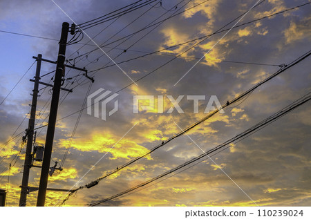 Sunset sky 110239024