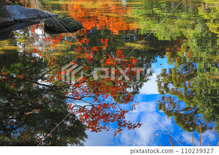Friends of the fall 110239327