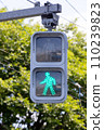 pedestrian traffic light green light 110239823