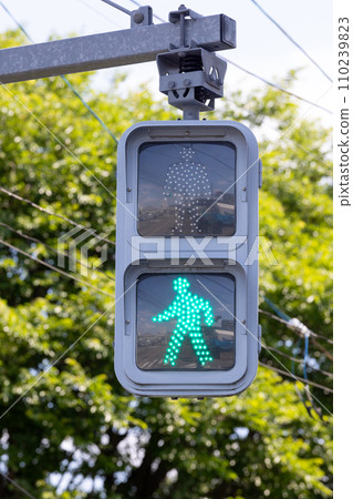 pedestrian traffic light green light 110239823