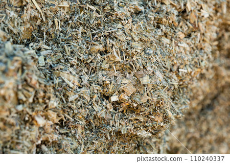Closeup of pile of natural organic pressed maize silage 110240337