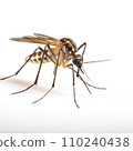 AI-generated content. closeup mosquito on white background 110240438