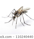 AI-generated content. closeup mosquito on white background 110240440