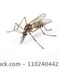 AI-generated content. extreme closeup mosquito on white background 110240442