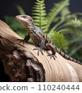 AI-generated content. skink lizard on tree trunk 110240444