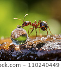 AI-generated content. ant drinking from drop of water 110240449
