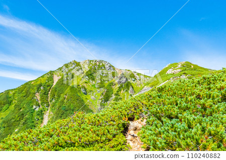 夏季登山Jonendake(Mae Jonendake - Jonendake) 夏季登山Jonendake(Mae Jonendake - Jonendake) 110240882