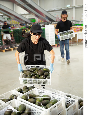 Woman with crate of fresh avocado Woman with crate of fresh avocado 110241202