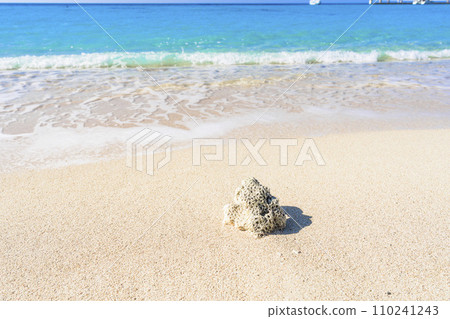 White sand beach and blue sea of Busena Marine Park, washed up coral, Nago City, Okinawa Prefecture White sand beach and blue sea of Busena Marine Park, washed up coral, Nago City, Okinawa Prefecture 110241243