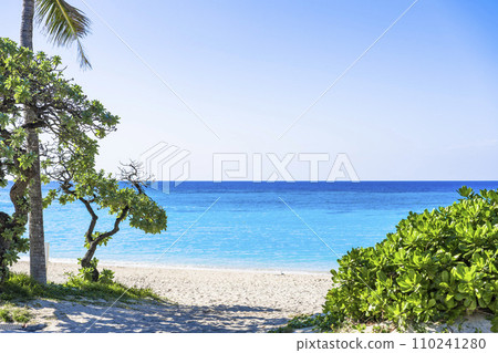 White sand beach and blue sea of Busena Marine Park, Nago City, Okinawa Prefecture 110241280