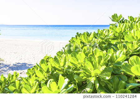 White sand beach and blue sea of Busena Marine Park, Nago City, Okinawa Prefecture White sand beach and blue sea of Busena Marine Park, Nago City, Okinawa Prefecture 110241284