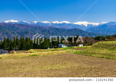 Spring scenery of Iijima Town, Kamiina District, Nagano Prefecture - The Central Alps can be seen in the background 110241360