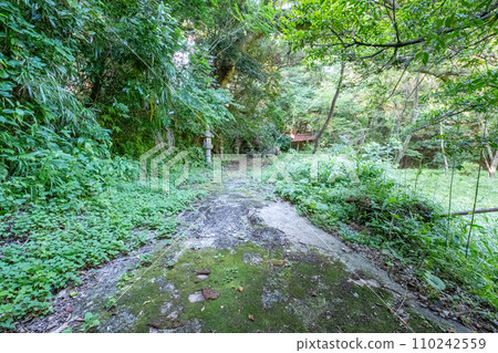 Approach to Hahaki Shrine, Fukuniwa, Kurayoshi City, Tottori Prefecture 110242559