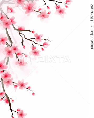 櫻花吉野櫻花樹 櫻花吉野櫻花樹 110242562