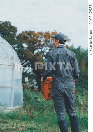 greenhouse, gents, male 110242981