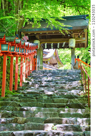 Kyoto Fresh Green Kibune Shrine (Kyoto City, Kyoto Prefecture) Kyoto Fresh Green Kibune Shrine (Kyoto City, Kyoto Prefecture) 110243035