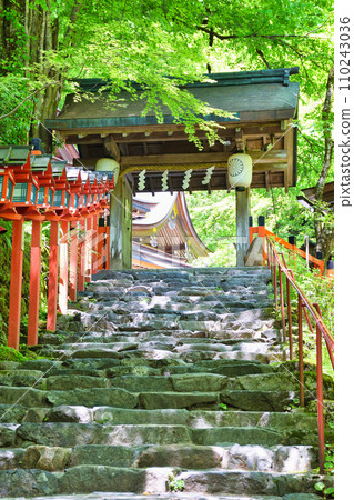 Kyoto Fresh Green Kibune Shrine (Kyoto City, Kyoto Prefecture) Kyoto Fresh Green Kibune Shrine (Kyoto City, Kyoto Prefecture) 110243036