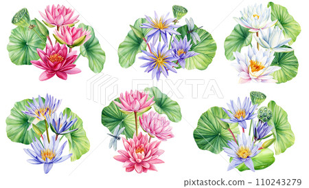 Design with lotus flower, bud, seed and leaves. Watercolor texture. Oriental Chinese and Japanese style. Realistic flora 110243279