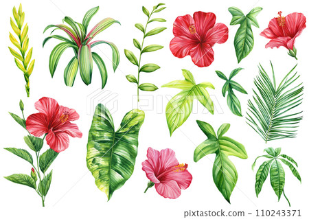 Tropical watercolor flowers and leaves. Set with exotic plants isolated on white background 110243371