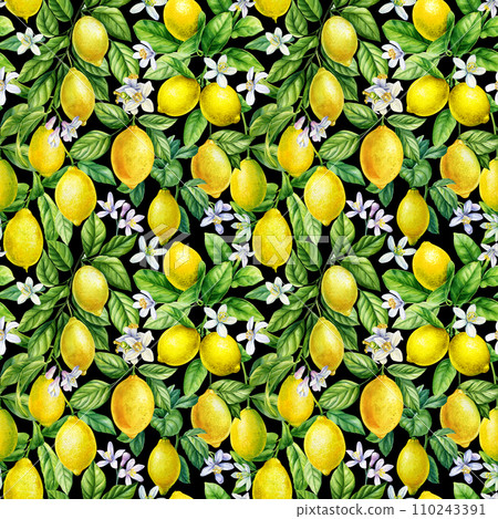 Lemon seamless pattern. Citrus fruits, twig, leaves for design paper, fabric, decor. Botanical watercolor painting 110243391