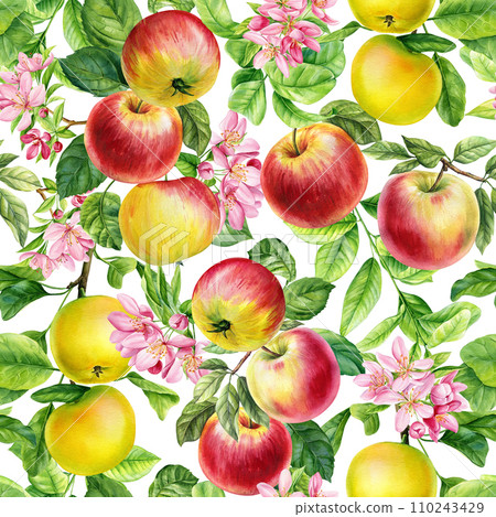 Apple Seamless pattern. Botanical painting watercolor illustration. Branch with apple fruits, leaves, flowers 110243429