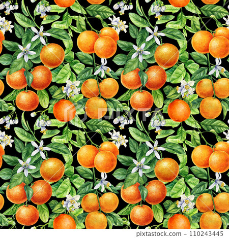 Seamless pattern orange fruits. Botanical painting watercolor citrus fruit. Mandarin branches with green leaves, flowers Seamless pattern orange fruits. Botanical painting watercolor citrus fruit. Mandarin branches with green leaves, flowers 110243445