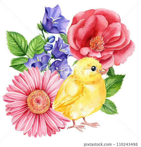 Chick and beautiful spring flowers, small yellow bird on isolated white background in watercolor hand-drawn illustration 110243498
