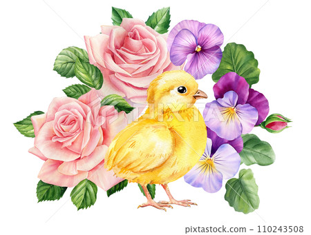 Chick and beautiful spring flowers, small yellow bird on isolated white background in watercolor hand-drawn illustration 110243508