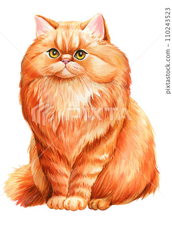 Red Cat isolated white background. Animal watercolor illustration. Cute pet hand drawn, Watercolor painting Persian cat  110243523