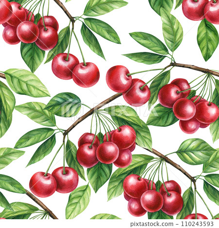 Sweet cherry. Seamless pattern with red berries. Botanical watercolor illustration. Branch with cherry berries, leaves Sweet cherry. Seamless pattern with red berries. Botanical watercolor illustration. Branch with cherry berries, leaves 110243593