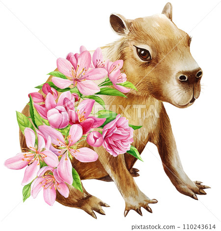 Animal capybara in pink apple flowers. Watercolor Isolated illustration 110243614