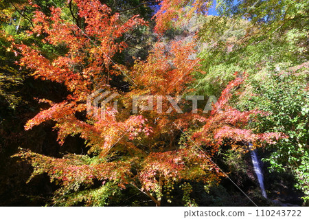 埼玉縣秩父郡南町上澤，日光三大瀑布之一的秩父華嚴瀑布，因日光的華嚴瀑布而得名。 110243722