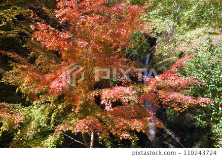 埼玉縣秩父郡南町上澤，日光三大瀑布之一的秩父華嚴瀑布，因日光的華嚴瀑布而得名。 110243724