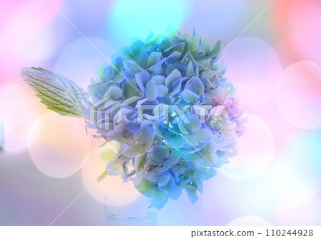 風景與繡球花 風景與繡球花 110244928