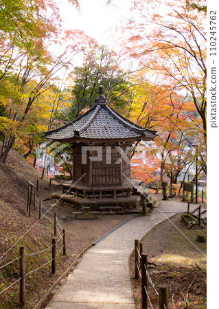 Taishido Hall and autumn leaves in Korankei (Korankei, Toyota City, Aichi Prefecture) Taishido Hall and autumn leaves in Korankei (Korankei, Toyota City, Aichi Prefecture) 110245762