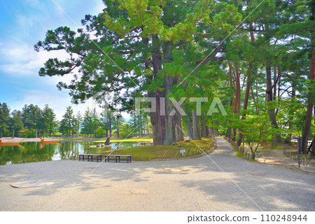東北、平泉、毛越淨土庭園、可欣賞日本庭園之美的南大門跡,岩手縣平泉町 (3) 東北、平泉、毛越淨土庭園、可欣賞日本庭園之美的南大門跡,岩手縣平泉町 (3) 110248944