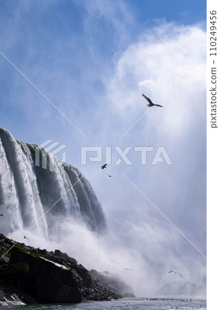 Niagara Falls 110249456