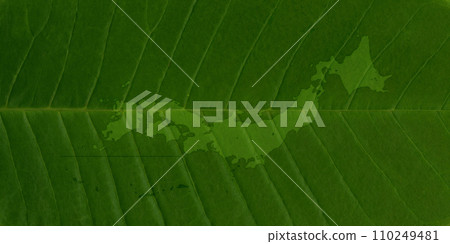 A map of Japan drawn on a large green leaf with beautiful veins. 110249481