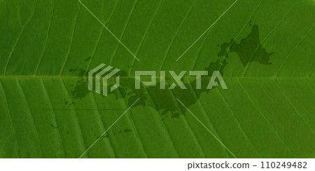 A map of Japan drawn on a large green leaf with beautiful veins. 110249482