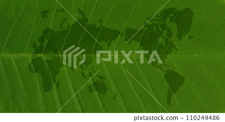A world map drawn on a large green leaf with beautiful veins. A world map drawn on a large green leaf with beautiful veins. 110249486