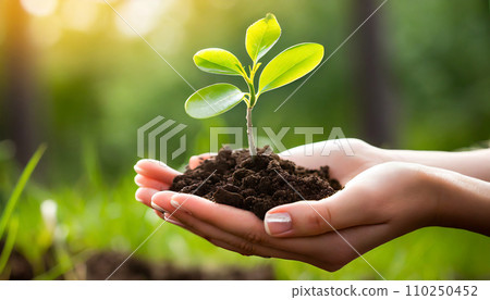 Hand holding a sprout (AI generated image) Hand holding a sprout (AI generated image) 110250452