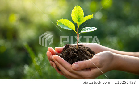 Hand holding a sprout (AI generated image) Hand holding a sprout (AI generated image) 110250458