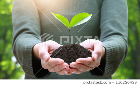 Hand holding a sprout (AI generated image) Hand holding a sprout (AI generated image) 110250459